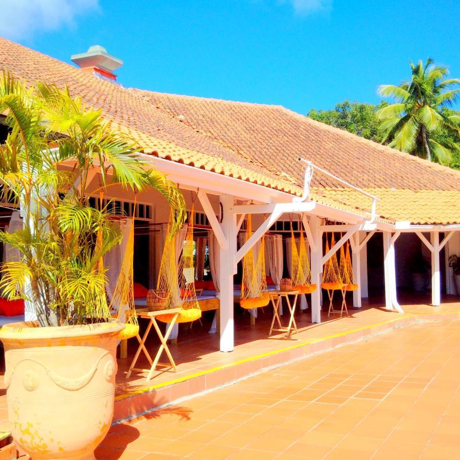 Color Garden - Studio Martinique Sainte-Anne Esterno foto