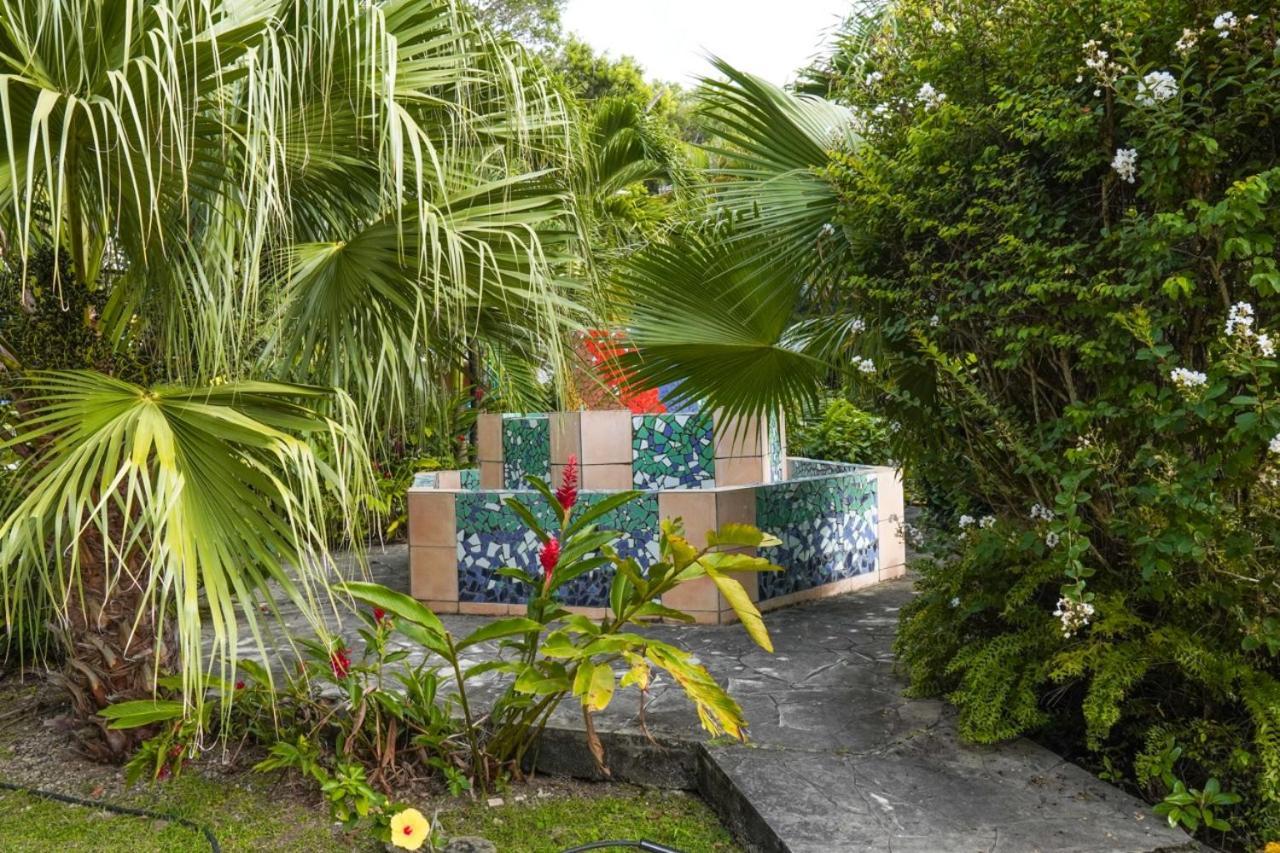 Color Garden - Studio Martinique Sainte-Anne Esterno foto
